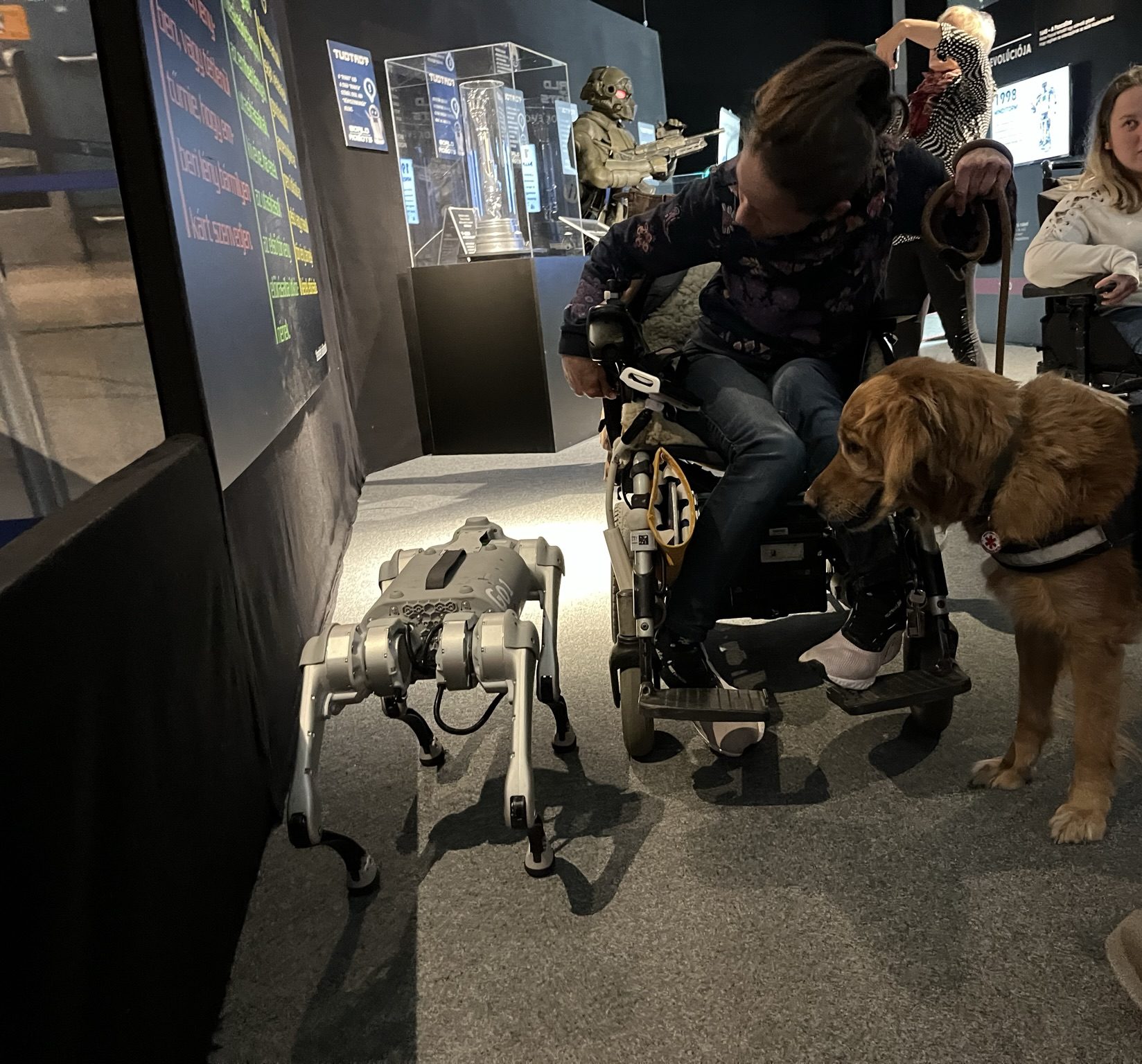 Kutya jó kiállítás: Bodza és a robotkutya találkozása – Csenki Anna vendégszerző beszámolója